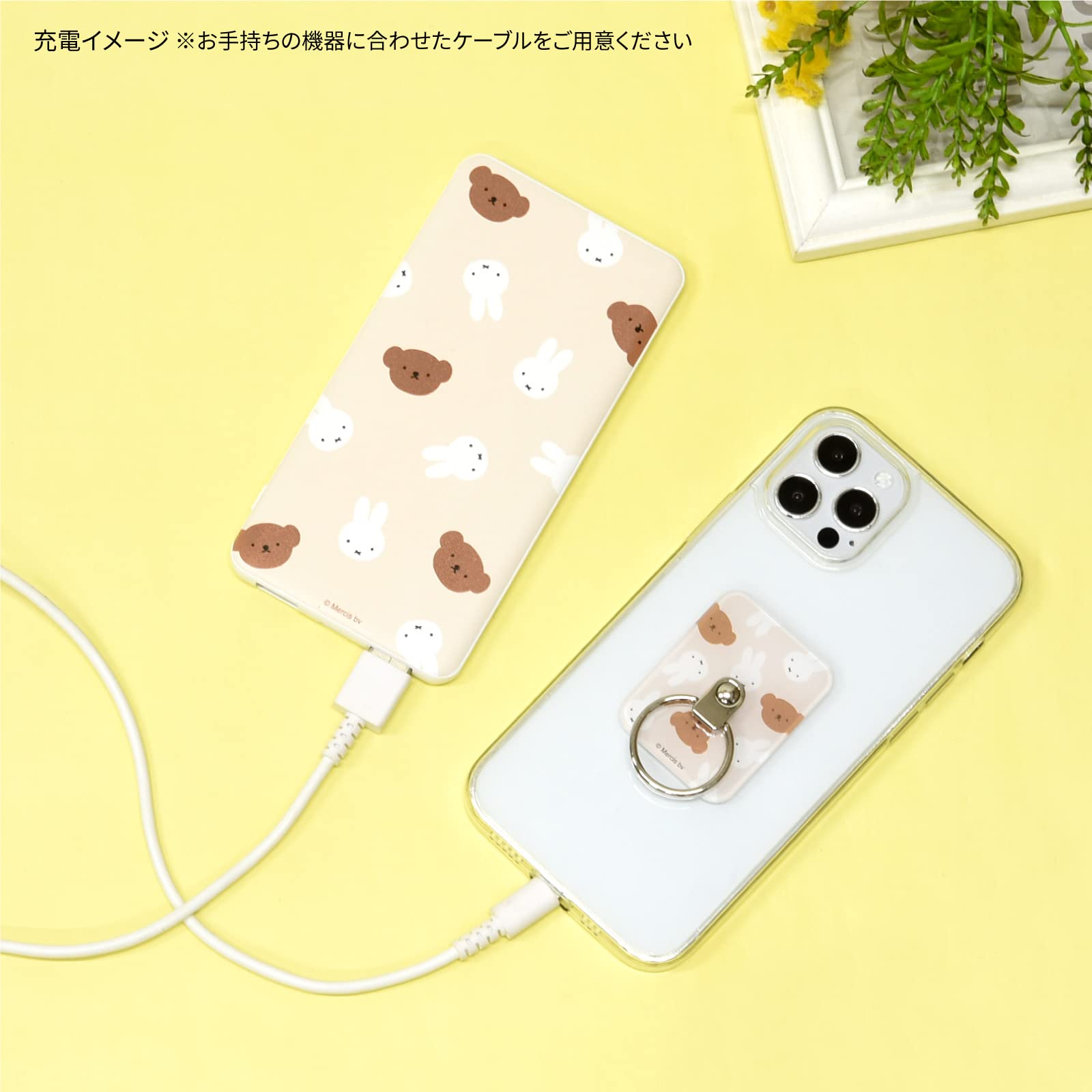 Amazon | グルマンディーズ(Gourmandise) ミッフィー リチウムイオン
